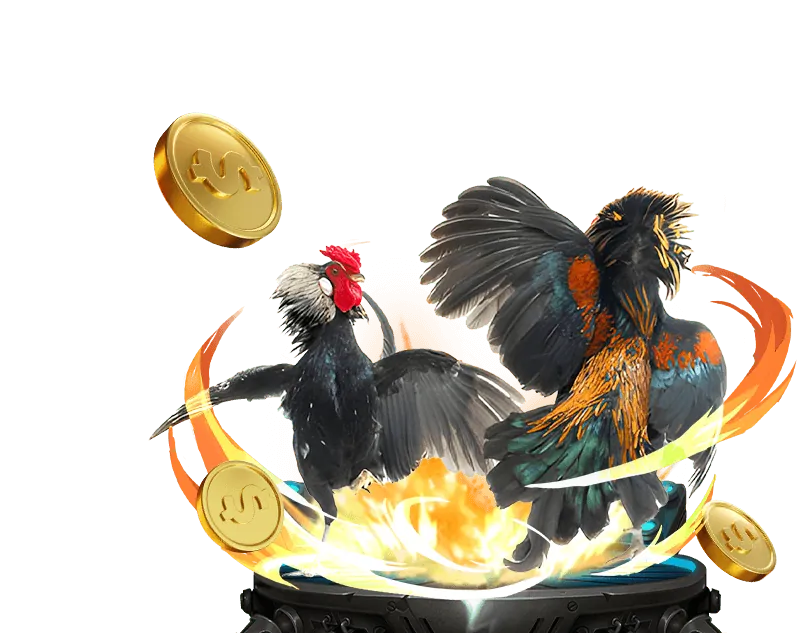 Khuyến mãi nạp tiền hàng ngày Đá Gà C3